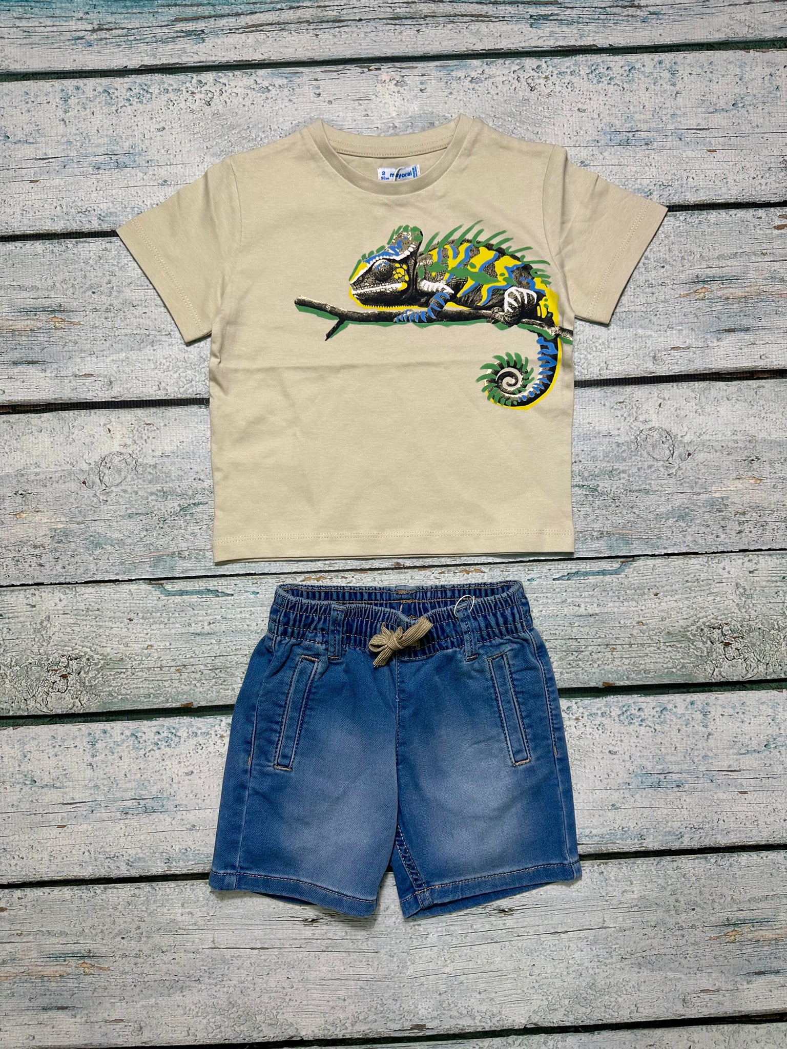 Colorful Iguana Shirt