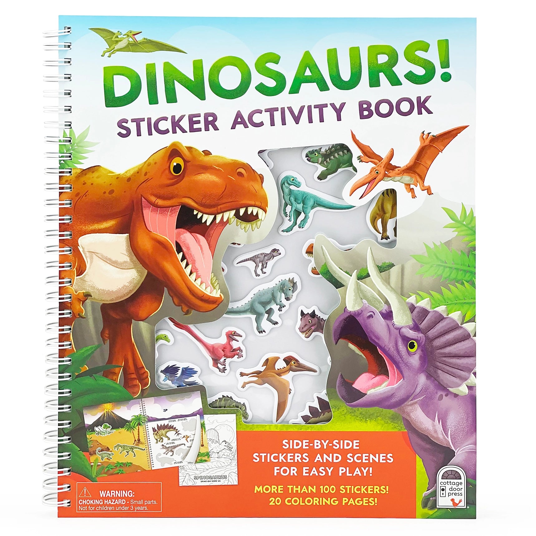 Dinosaur sticker and Coloring book
