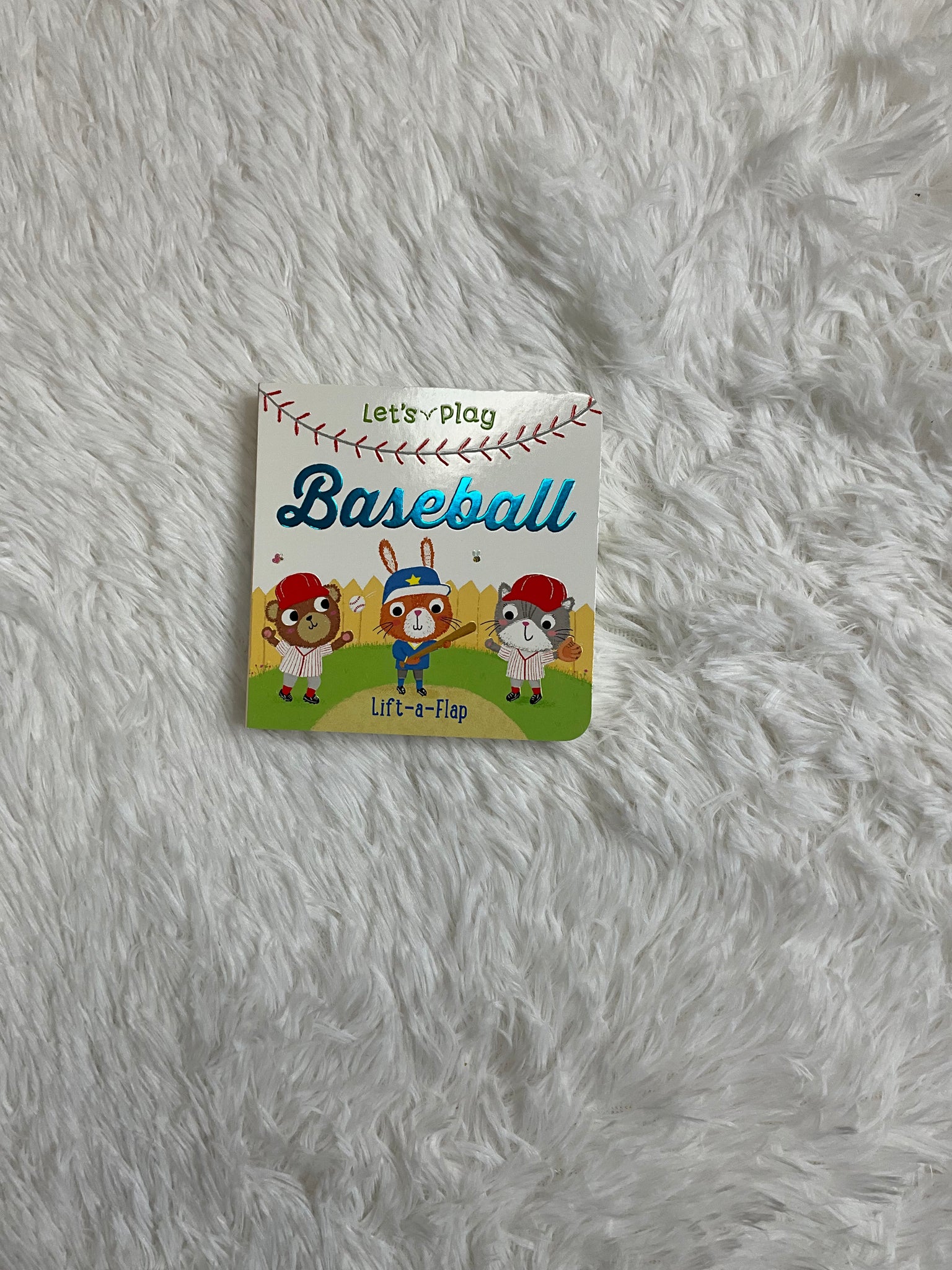 Baseball Lift a Flap Book